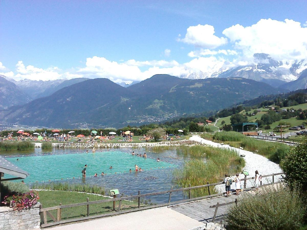 Apartment Coeur Des Alpes